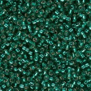 Miyuki seed beads 11/0 - Emerald silver lined 11-17